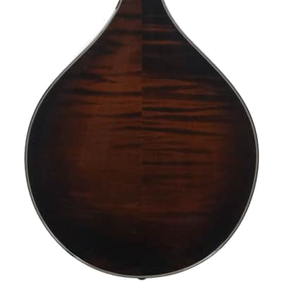 Northfield NFMSP A4 Special Alpine Spruce Icelandic Brown image 8