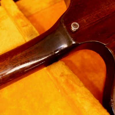 Gibson Thunderbird II 1964 - Sunburst image 12