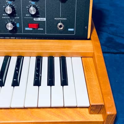 MiniMoog Voyager Old School Analog Synthesizer 🎹 Like NEW • Tested • Serviced • Full Warranty image 9