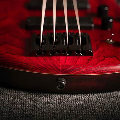 Cort B5ELEMENTOPBR Bolt-On Construction Mahogany Body 5Pcs Walnut & Panga Panga 5-String Bass Guitar image 5