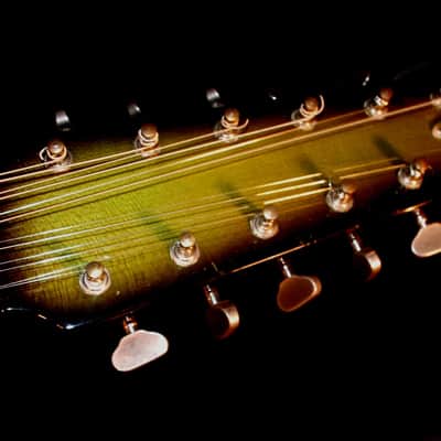 Burns DOUBLE SIX 1964 Green Sunburst. Maybe the RAREST BURNS GUITAR. With Tremolo System. Incredible image 23