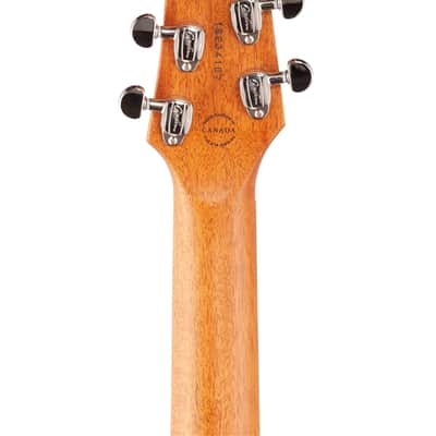 Godin A6 Ultra A/E Cedar Top Natural Semi Gloss image 7