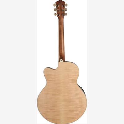 Washburn HJ40SCE Heritage Jumbo with Cutaway and Fishman. New with Full Warranty! image 2