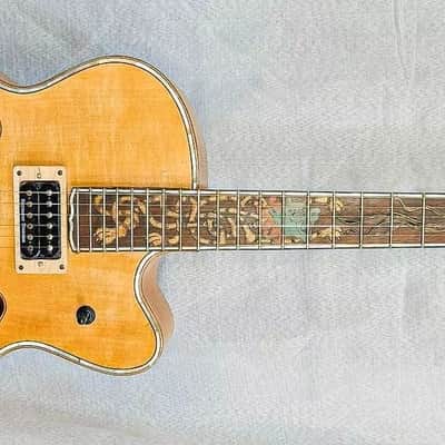 Blueberry Handmade Hollow Body Electric Guitar Rapunzel Motif image 3