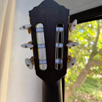Ibanez TOD10N Tim Henson Signature 2022 - Present - Transparent Black Flat image 8