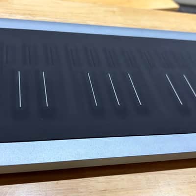 ROLI Seaboard RISE 2 (Platinum Blue) 49-Key + Equator2 + Soft Case image 17