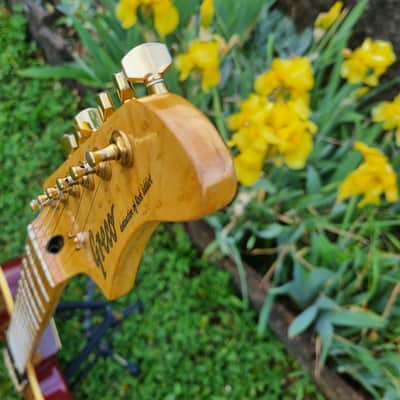 Greco Telecaster japan, bird's eye neck (print), mahagony body, 3,1 kg, rare image 4