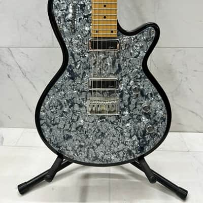 Godin Radiator 2005 image 4