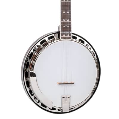 Gold Tone BG-150F: Bluegrass Banjo with Flange and Bag image 12