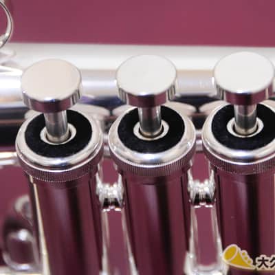 Brasspire Unicorn BPFG-850SS (NEW) Flugelhorn image 15