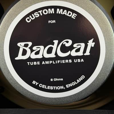 Bad Cat Custom MOD Shop Hot Cat 1x12" 50-watt Electric Guitar Combo Amp image 11