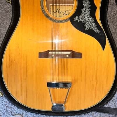 Hy-Lo Model 642 12-String Acoustic Guitar Made in Japan w/ Hard Case image 1