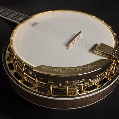 Washburn Americana Series B17K-D 5 String Banjo Sunburst image 5