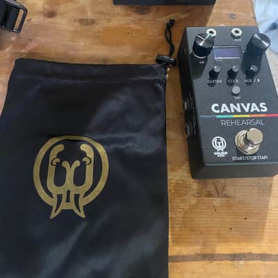 Walrus Audio Canvas Rehearsal Pedal image 2