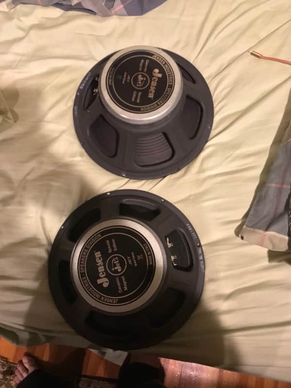 Jensen Electric Lightning Pair 12” 16 ohm image 1