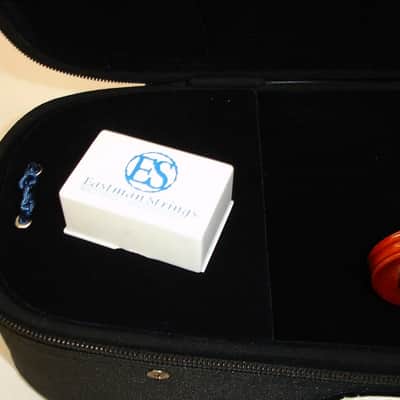 Eastman VL100 4/4 Student Violin Outfit with Bow, Case & Rosin image 11