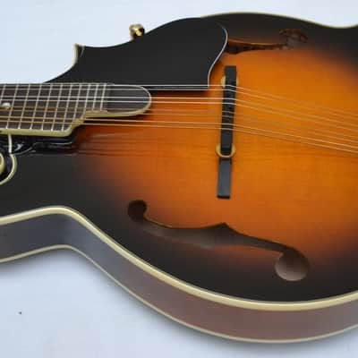 Orpheum OM6SW F-Style Mandolin-All Solid Top, Back & Sides- by Tacoma image 7