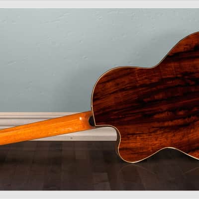 Linda Manzer Nylon String image 3