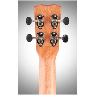 Cordoba 25C Concert Ukulele image 9