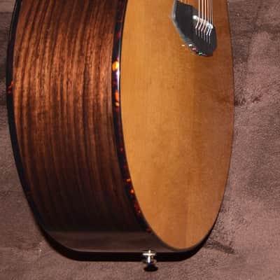 Breedlove Thinline Performer Pro Concert 2024 - high gloss image 3