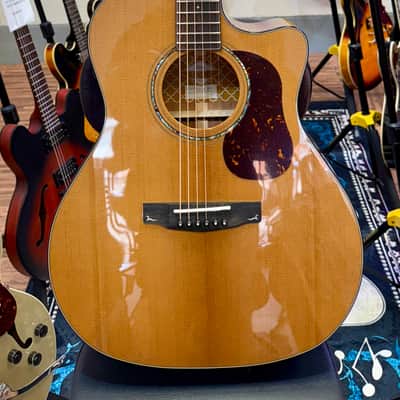 🌟NEW 2025 🌟 Cort Gold A6 Nat Electro Acoustic~ Natural~ Ebony Board~ Gig Bag! image 2