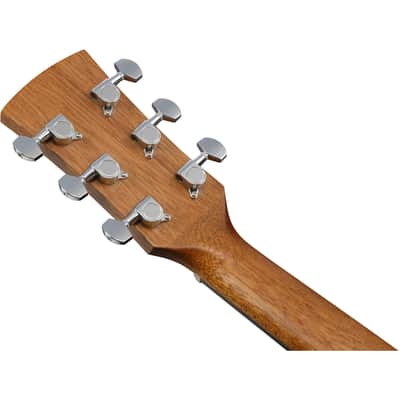 Ibanez PN2WS PN Acoustic Guitar - Open Pore Brown image 8