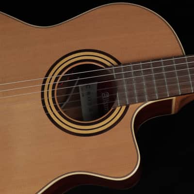 Alhambra Crossover CS-1 CW E8 (#LdM) image 3