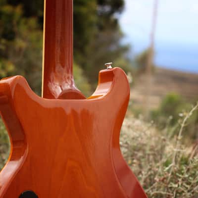 Gibson Les Paul Standard Double Cutaway 1998 - Amber Serrano image 15