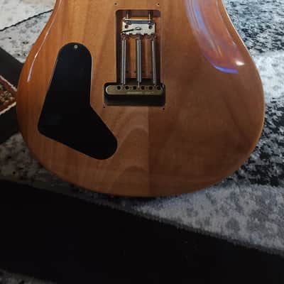 PRS SE Custom 22 Semi-Hollow Quilt - RARE image 4