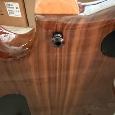 2014 Carvin Allan Holdsworth Fatboy Signature HF2S Fatboy MIDI Synth Guitar image 15