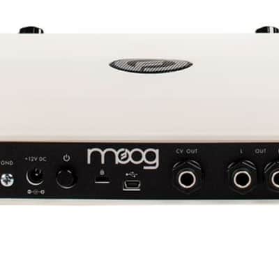 Moog Theremini Digital Theremin image 4