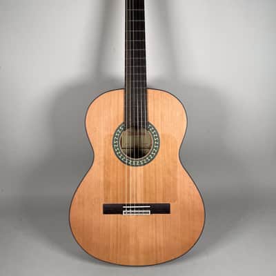 Alhambra Model 5Fp Acoustic Nylon String Guitar w/HSC image 1