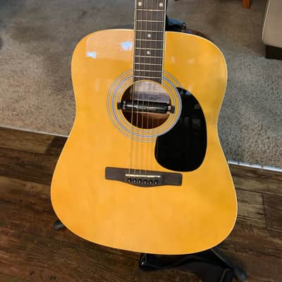Zager Easy Play ZAD01PK N Acoustic Guitar image 1