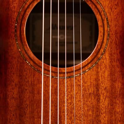 Alvarez AP66e Artist Series Acoustic/Electric Guitar - Shadowburst image 11