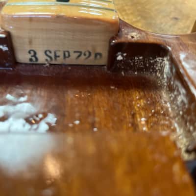 Fender Telecaster Thinline Mahogany 1972 image 20