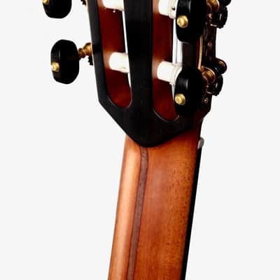 Wee Lowden 35JX Nylon Jazz Model 2020-2023 image 6