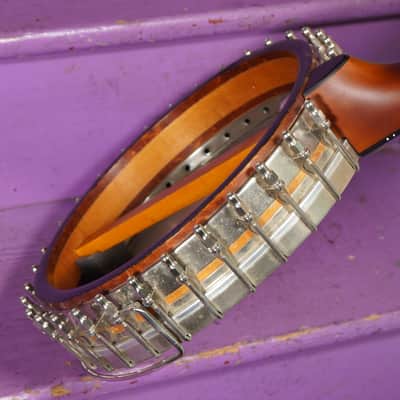1922/2000s Vega Tubaphone Conversion Big Rim 5-String Openback Banjo (VIDEO! Fresh Work, Ready) image 17
