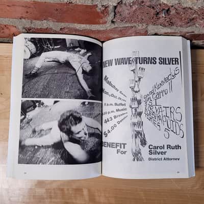 Dead Kennedys: Fresh Fruit for Rotting Vegetables The Early Years (Microcosm Publishing) image 3