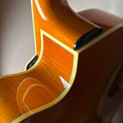 Kiso Ribbecke Archtop 17" image 9