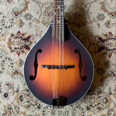 Eastman MD305E with Pickup image 2