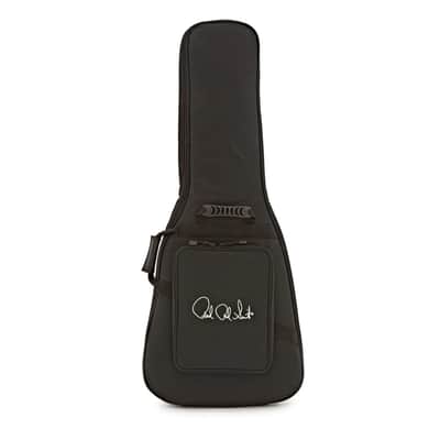 Paul Reed Smith Limited Edition S2 10th Anniversary Custom 24 Guitar w/ PRS Gig Bag - Eriza Verde image 7