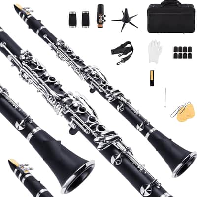 Clariet for School Band Orchestra adult kid with Hard Foam Case,Barrels*2,Pads*8,Stand, Cleaning Kit,Gloves,Strap image 1