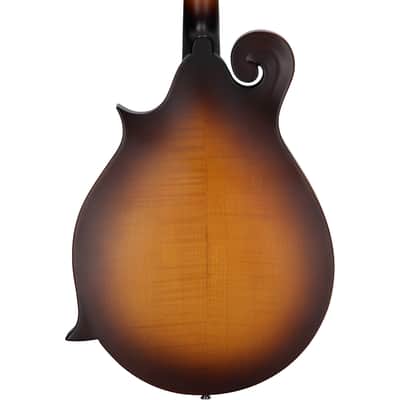 Epiphone F-5 Studio Mandolin, Vintage Sunburst Satin, with Gig Bag image 5