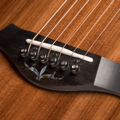 2025 Taylor PS12ce 12-Fret - Honduran Rosewood/Sinker Redwood image 17