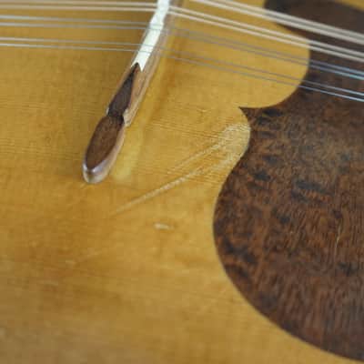 Suzuki MD-4 Bowl Back Mandolin Japan w/ Hard Case image 10