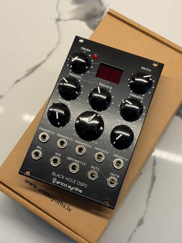 Erica Synths Black Hole DSP 2