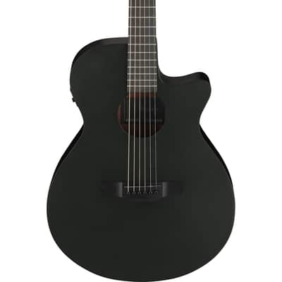 Ibanez AEG Series AEG621 Acoustic Electric Guitar, Black Out image 4