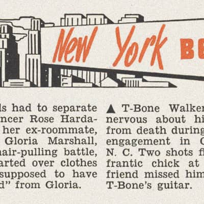 Book Electric Blues: T-Bone Walker & The Guitar That Started It All 2026 - Hardback with Slip Case image 22