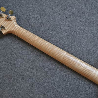 PRS Custom 24 30th Anniversary Artist image 15