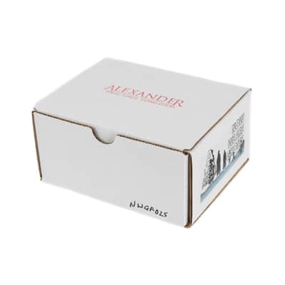 Alexander Pedals - Now We Are Ghosts Reverb Pedal image 5